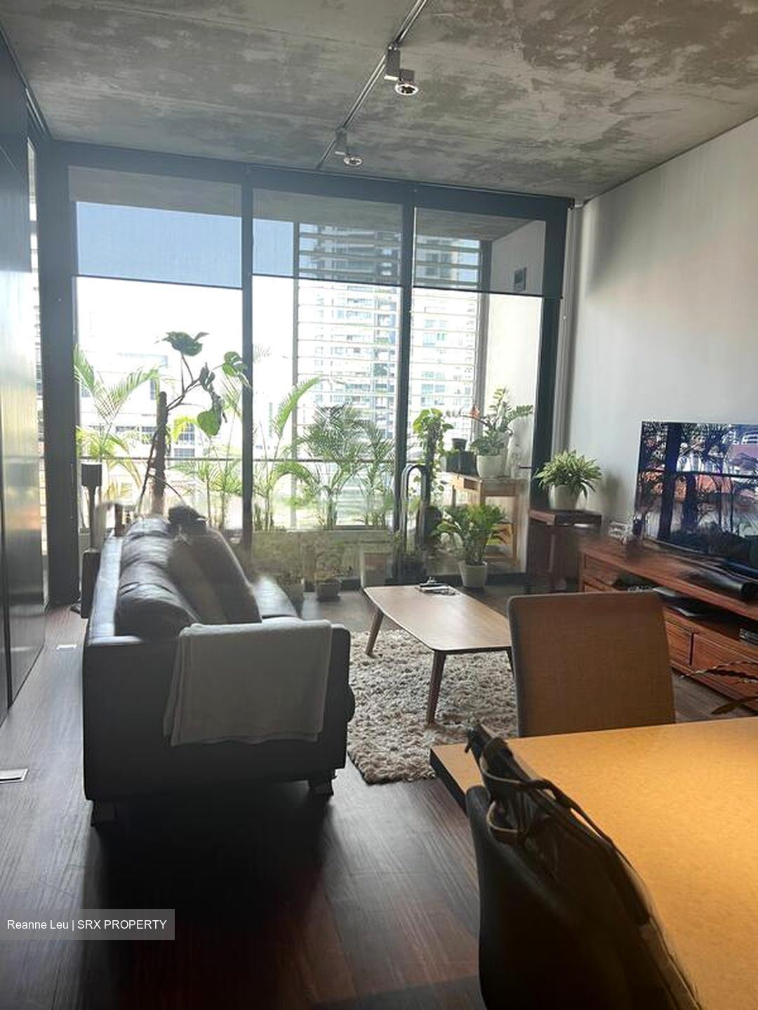 Martin No 38 (D9), Apartment #460981081
